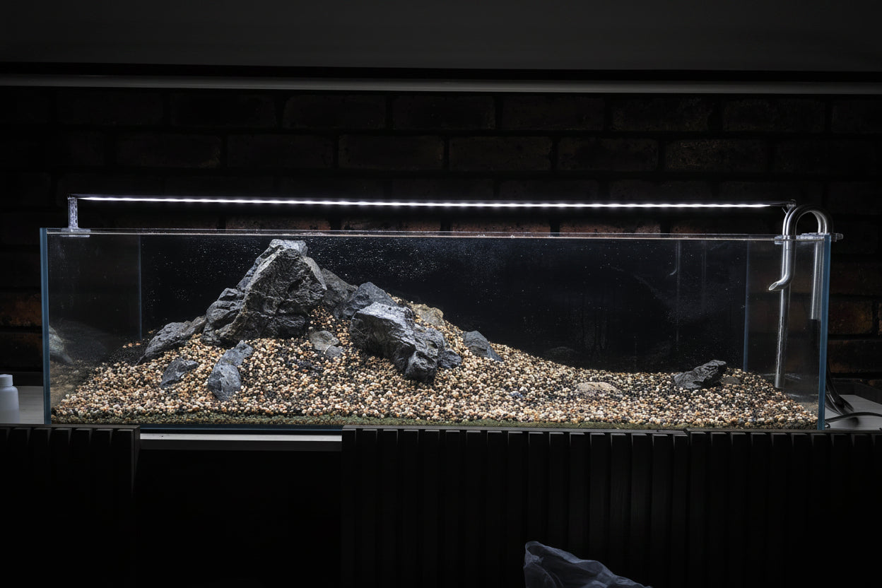 Custom Scape Build — Large (90cm+)