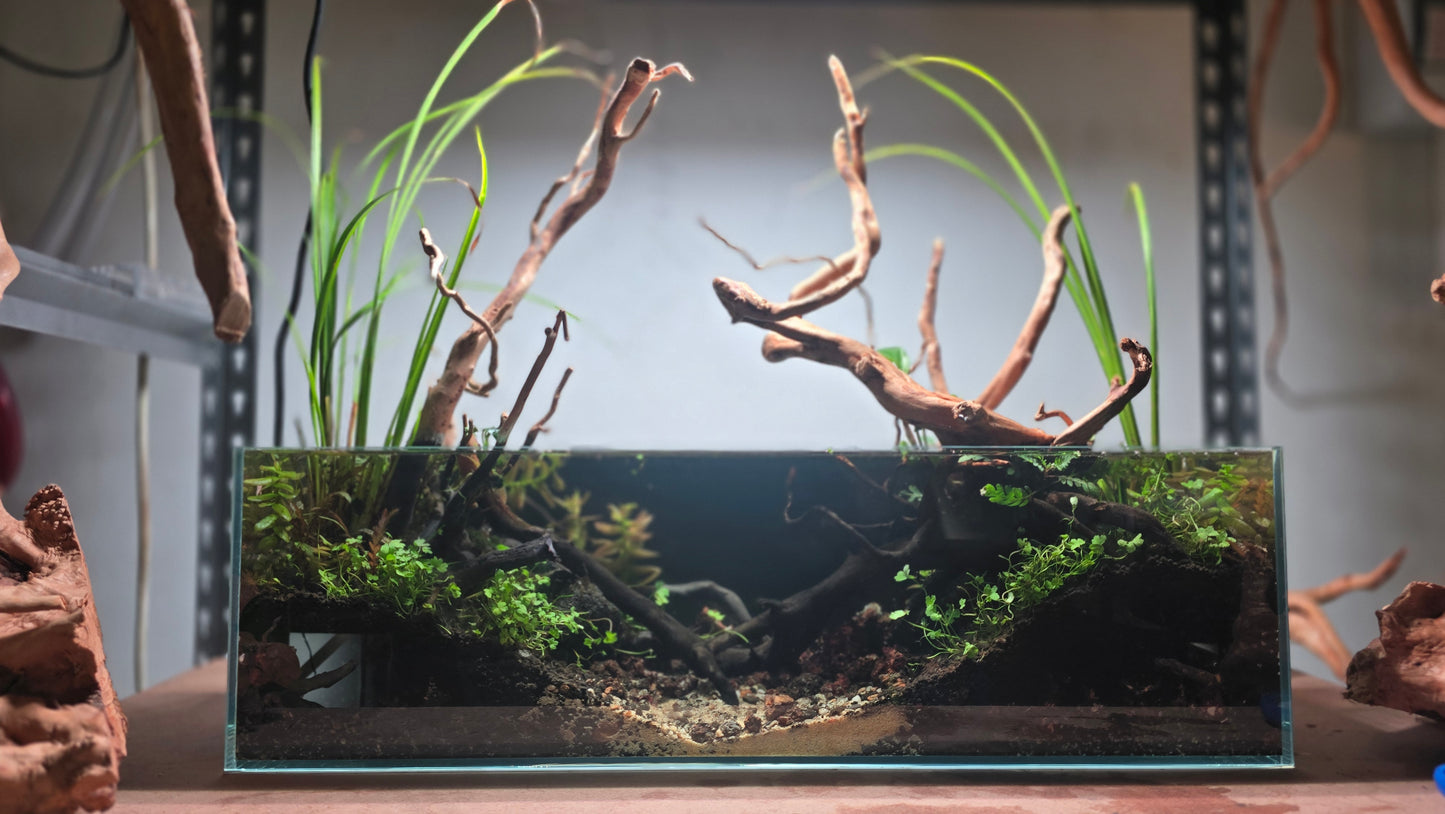 Custom Scape Build — Small (36–45cm)