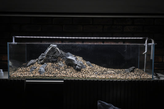 Custom Scape Build — Large (90cm+)