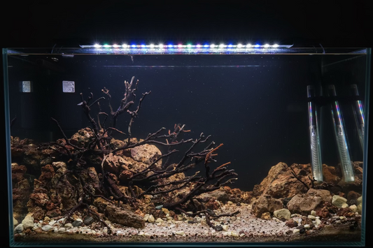 Freshwater Rockscape